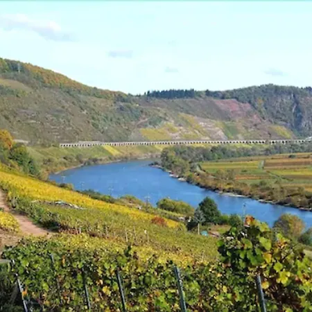 Cochemer Jung 코헴