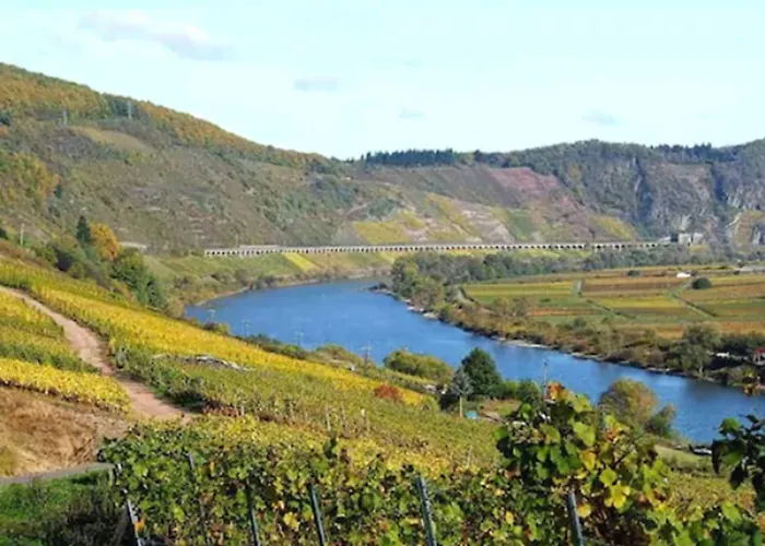 Cochemer Jung Cochem